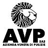 AVP SAS