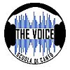 The Voice - Scuola di Canto Novara