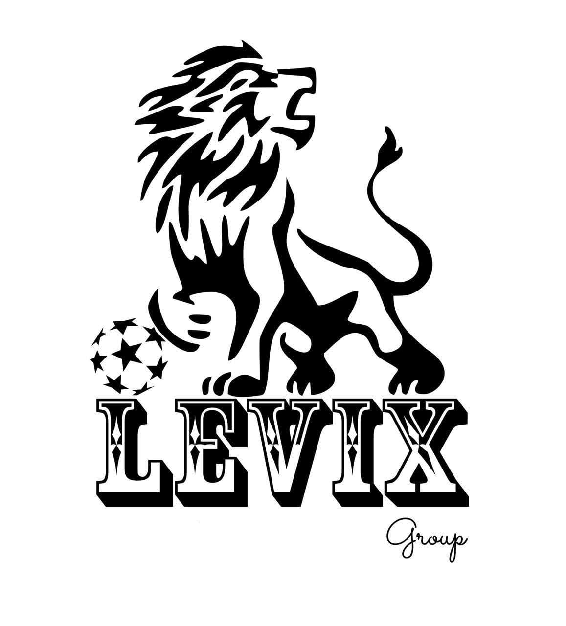 Levix Group S.R.L.