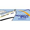 PICCIOTTO GROUP SRL