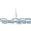 CLINICA TORINESE SRL