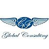 C&F GLOBAL CONSULTING
