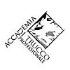 ACCADEMIA DI TRUCCO PROFESSIONALE S.R.L.