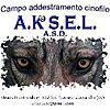 CAMPO ADDESTRAMENTO CINOFILO AKSEL ASD APS