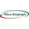 PELOSO AUTOSPURGHI