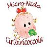 MICRONIDO CIRIBIRICOCCOLA S.A.S. DI FOGLIA ELENA E LAURA & C.