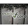 Euroflora