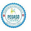 PEGASO SRL