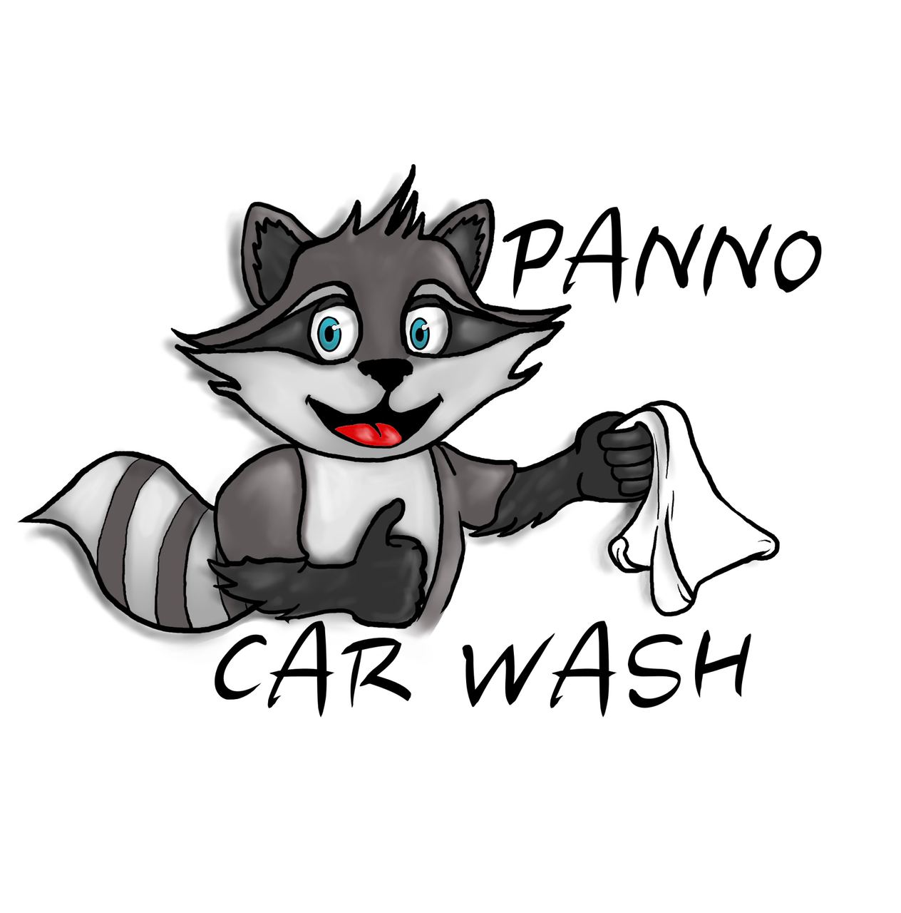 Panno Car Wash Di Barontini Alex