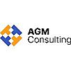 AGM CONSULTING S.A.S. DI MASSIMO MARZI