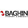 BAGHIN SPEDIZIONI INTERNAZIONALI SRL