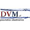 DVM SRL