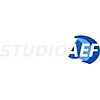 STUDIO AEF - CONSULENZA FISCALE ED ASSICURATIVA SRLS 