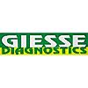 GIESSE DIAGNOSTICS