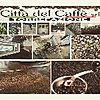 CITTA' DEL CAFFE' S.R.L.