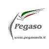 PEGASO S.R.L.S.