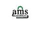 AMS SRL ENGINEERING E MAINTENANCE